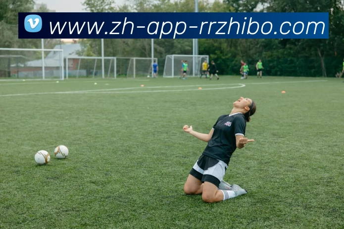 人人体育APP 封面图